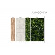 Амазонка
