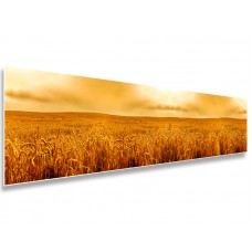 Фартук 0115