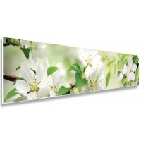 Фартук 0256