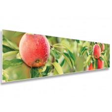 Фартук 0257 Фартук 0257