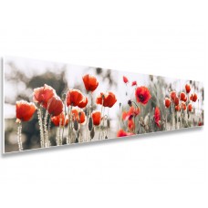Фартук 0155 Фартук 0155